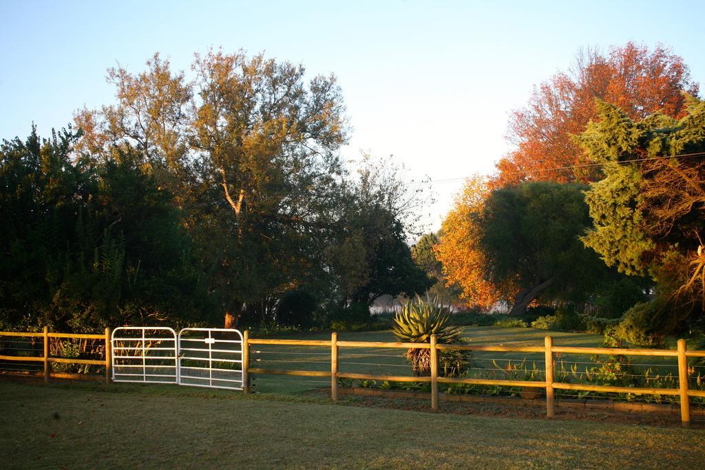 Sneezewood Farm Bed&Breakfast And Self-Catering Cottage Νταντί Εξωτερικό φωτογραφία