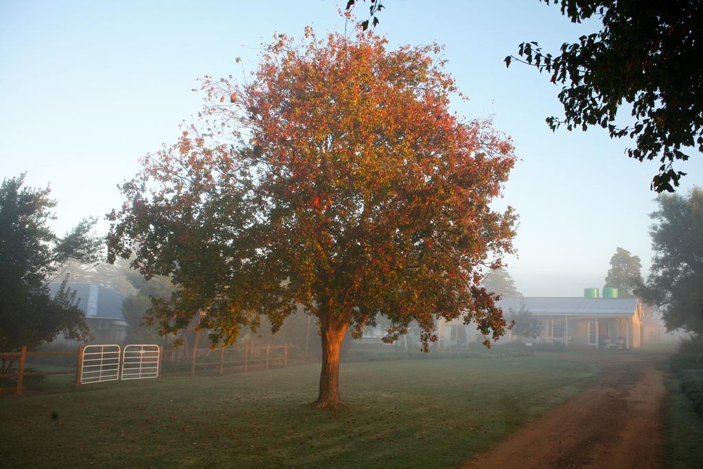 Sneezewood Farm Bed&Breakfast And Self-Catering Cottage Νταντί Εξωτερικό φωτογραφία