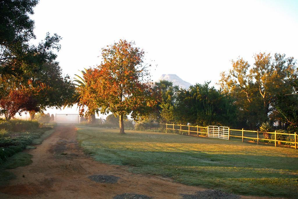 Sneezewood Farm Bed&Breakfast And Self-Catering Cottage Νταντί Εξωτερικό φωτογραφία